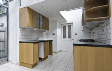Stenhousemuir kitchen extension leads